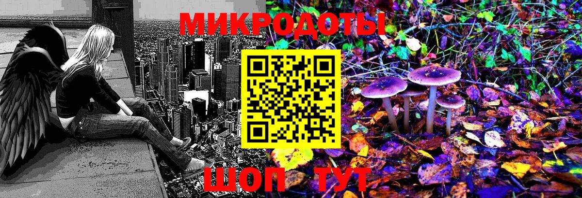 Псилоцибиновые грибы Psilocybe Мелеуз